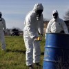 Ecoreati, una legge truffa. Un commento di Antonia Battaglia ecoreati-legge-510