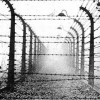 Che dirò ai miei studenti nel Giorno della Memoria? :: di Franco Berardi “Bifo” 322721530_shoah