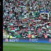 Fai qualcosa di concreto per la Palestina calcio palestina
