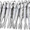 Il manifesto delle “sardine” sardine